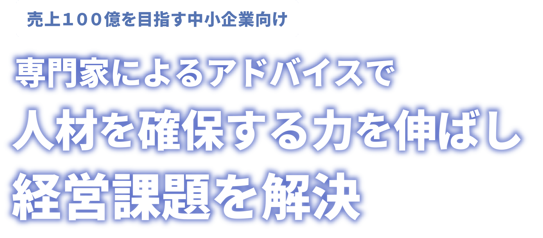 売上100億を目指す中小企業向け 専門家によるアドバイスで人材を確保する力を伸ばし経営課題を解決